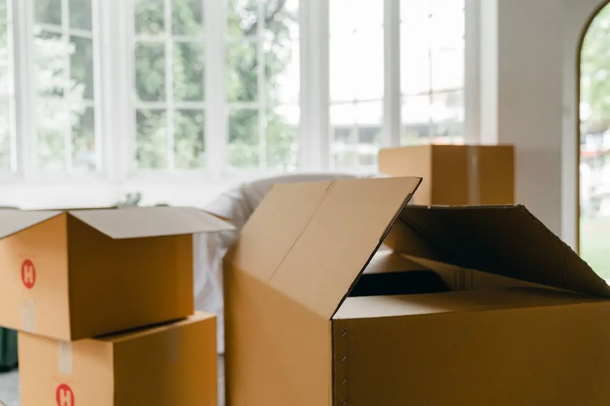 Open cardboard cartons in a bright room, with a covered sofa behind them